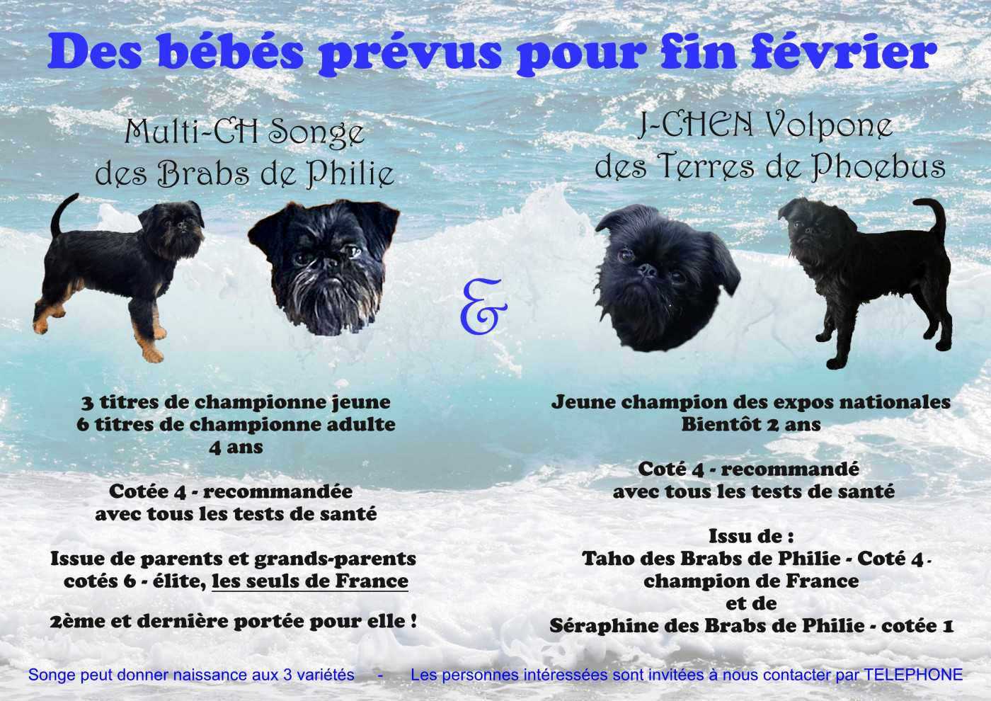 Des bébés attendus à la fin du mois !!