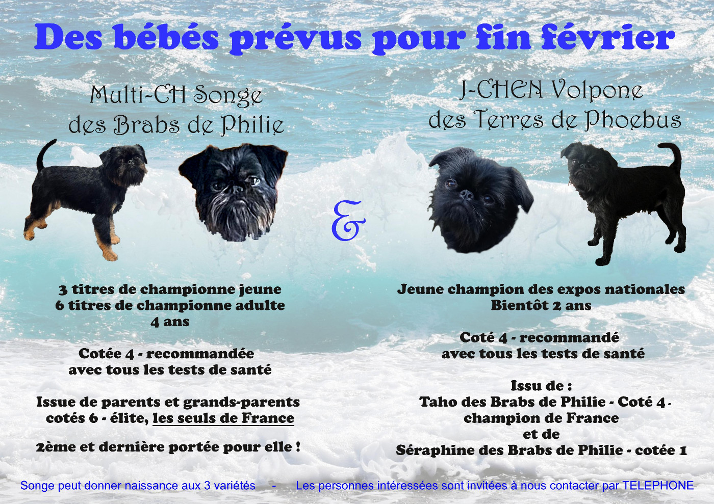 Des bébés attendus à la fin du mois !!