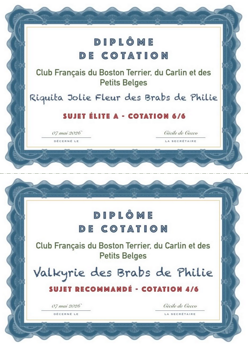 De nouvelles cotations pour nos chiennes !!