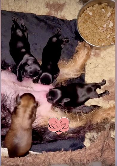 Les bébés sont là ! 