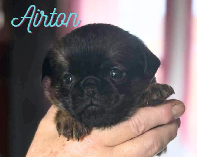 AIRTON dit BOBI