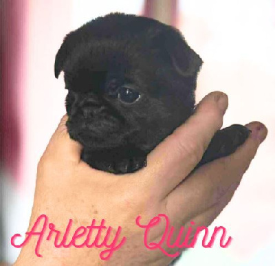 ARLETTY QUINN
